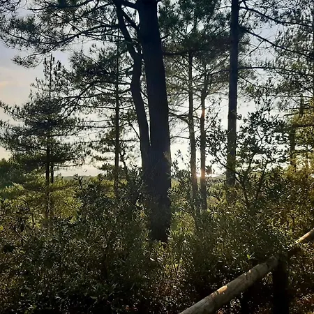 La Océane Avec Piscine, à Pied Hébergement de vacances