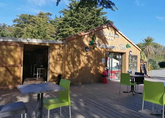 La Océane Avec Piscine, à Pied Hébergement de vacances Saint-Hilaire-de-Riez