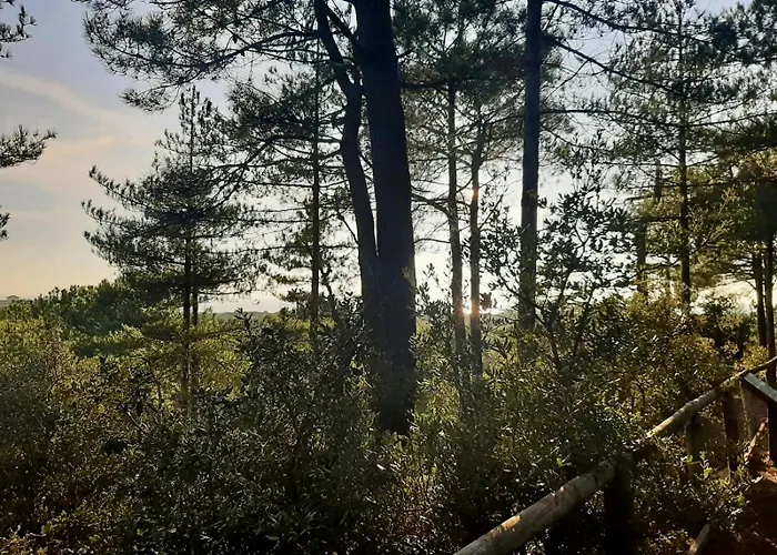 La Océane Avec Piscine, à Pied Hébergement de vacances